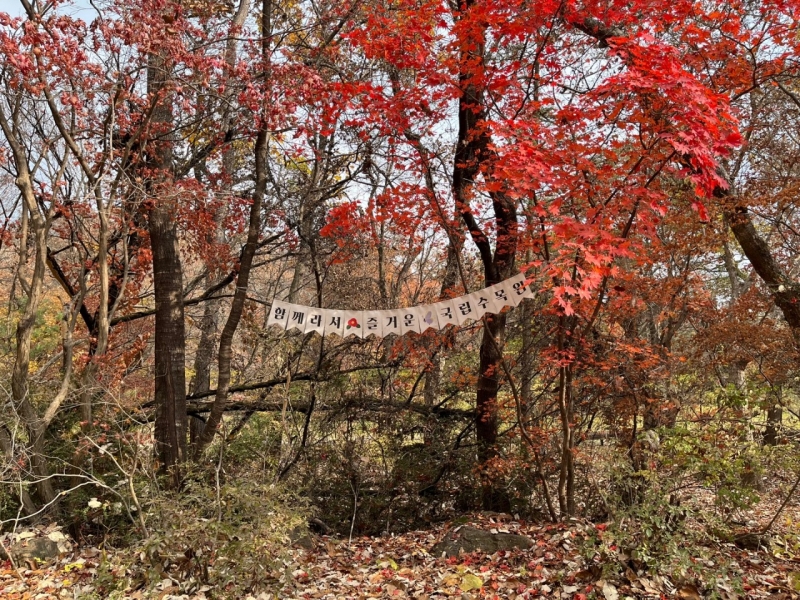가을의 끝자락을 국립수목원에서 만나다.