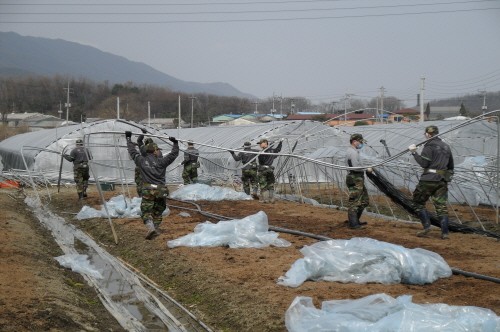소흘읍 설해피해 육군 제1291부대 복구지원