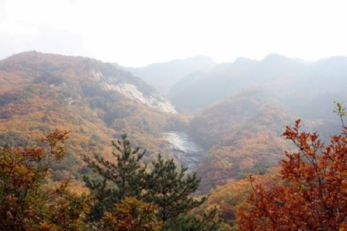 산행초짜의 고군분투 운악산 등산 후기
