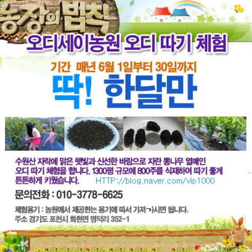 오디따러 오세요