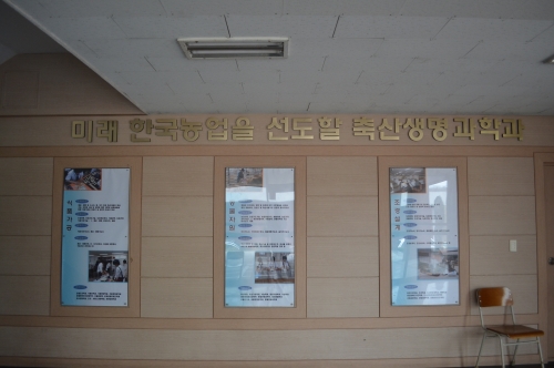 꿈이 현실이 되는 특성화고를 찾아