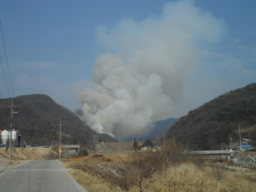 포천시, 산불 가해자 전원 검거 및 강력한 사법처리에 총력 