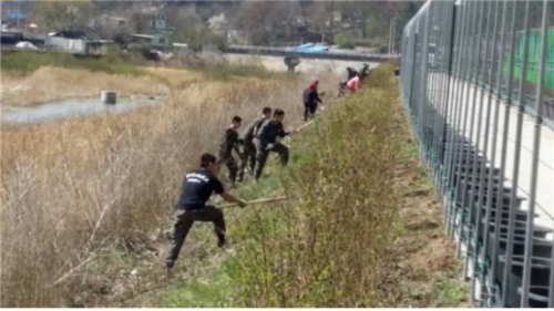 이동면 주요 도로변 억새 식재 등 가로화단 조성 활발