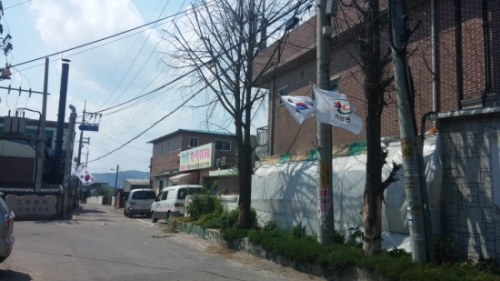 포천시 가산면 가산2리, 광복70년, 태극기사랑 70일 운동