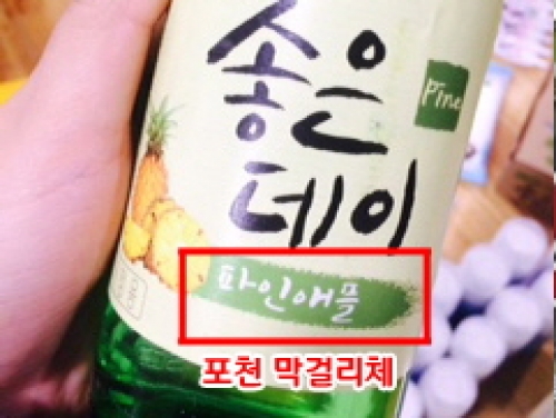 포천서체 무료배포 1년! 인기 급상승 비결은?