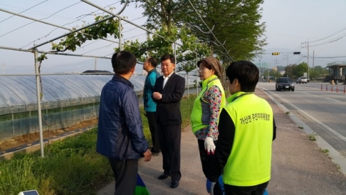 가산면 주민자치위원회 포도나무 가로수길 정비 실시