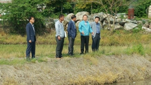 금년 모내기 아직까지는 순조로움