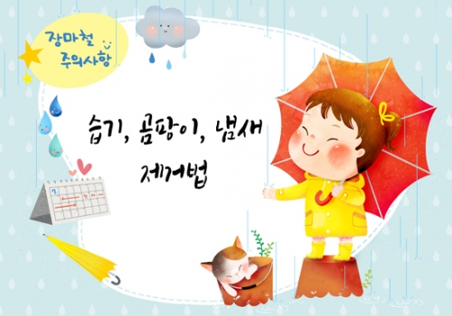 장마철 습기, 곰팡이, 냄새 물럿거라