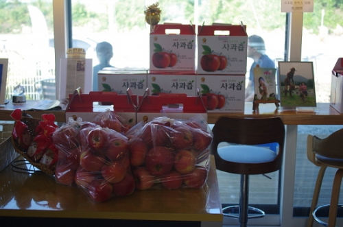 대한민국을 대표하는 사과 주산지 포천