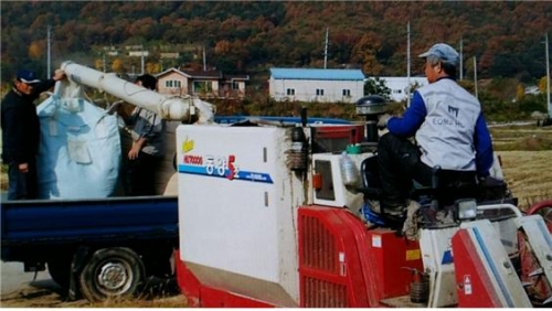 포천시, 올 해도 풍년 !!  내촌면 농촌지도자회 벼베기 행사