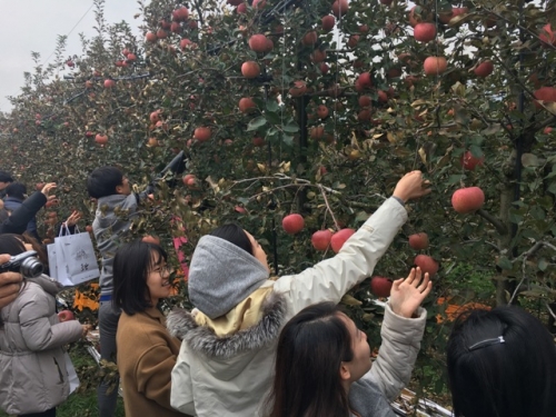 서울대학교 학생들과 함께 포천팜투어 실시