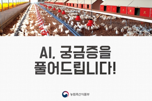 AI, 그 궁금증을 풀어드립니다!