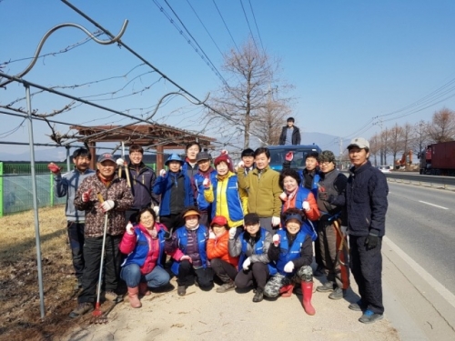 포천시 가산면 주민자치위원회, 포도나무 가로수길 정비 실시