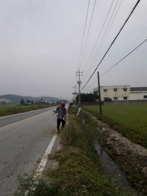 포천시 신북면, 주요도로변 제초작업 실시