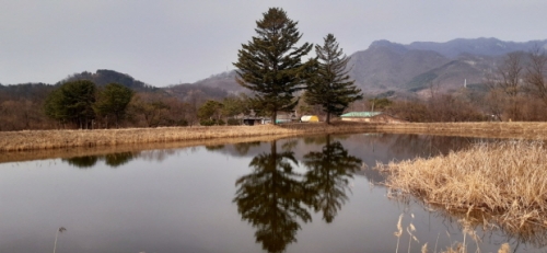 포천 저수지 기행 ⑪ 영중면 저수지 기행