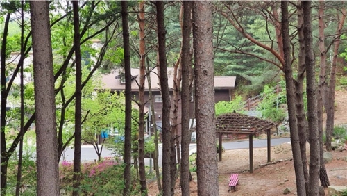 숲에서 면역력 높이기