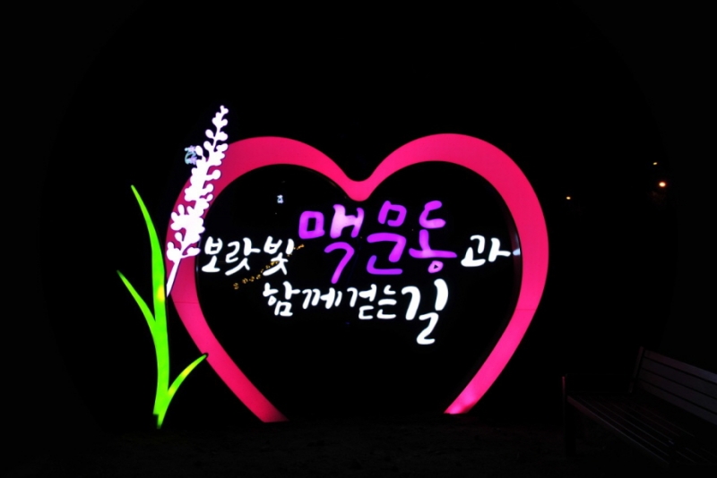 보랏빛 맥문동과 함께 걷고 싶은 청계 호수 가는 길