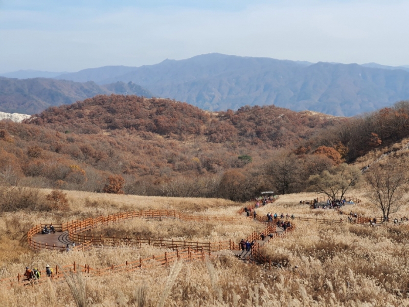 다시 찾은 명성산 억새바람길!
