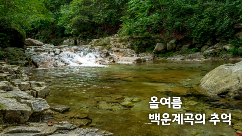 [포천 청년PD가 떴다!] 올여름 백운계곡의 추억