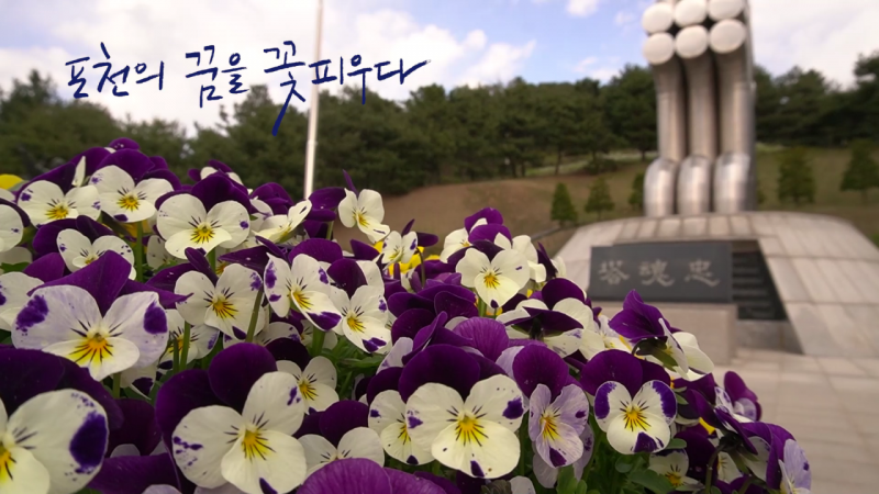 [포천 청년PD가 떴다!] 청성역사공원의 봄
