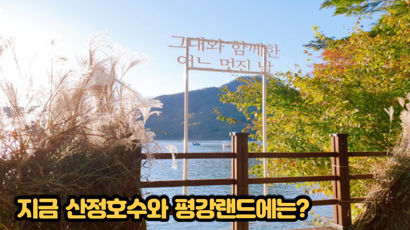[포천 청년PD가 떴다!] 지금 산정호수와 평강랜드에 가면?