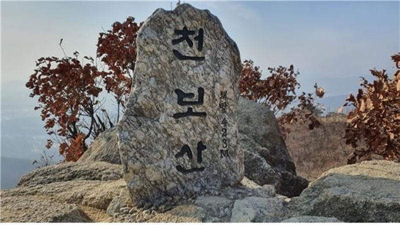 된장 같은 뚝심이 있기에!