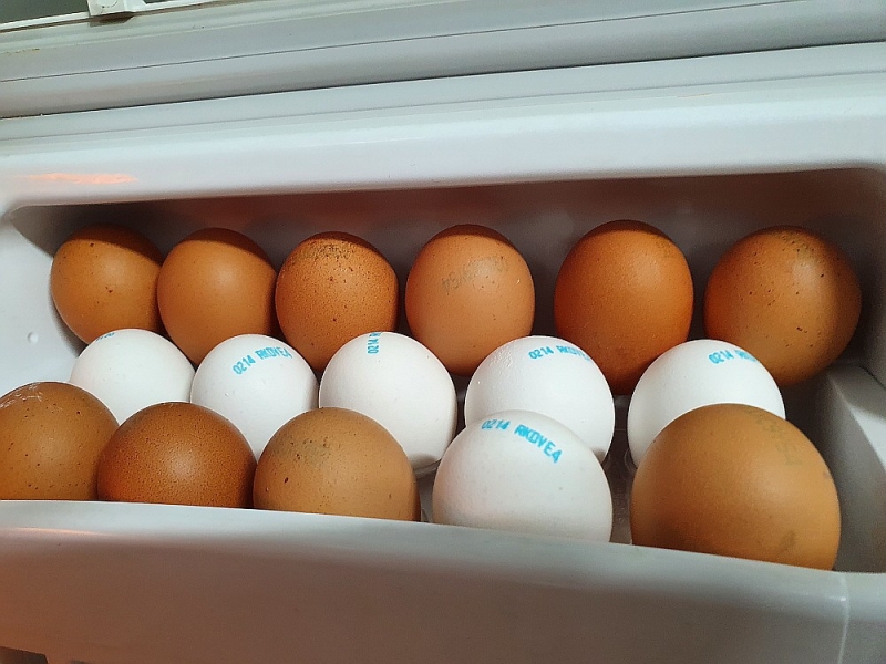 흰색 계란과 갈색 계란의 차이를 알고 있나요?