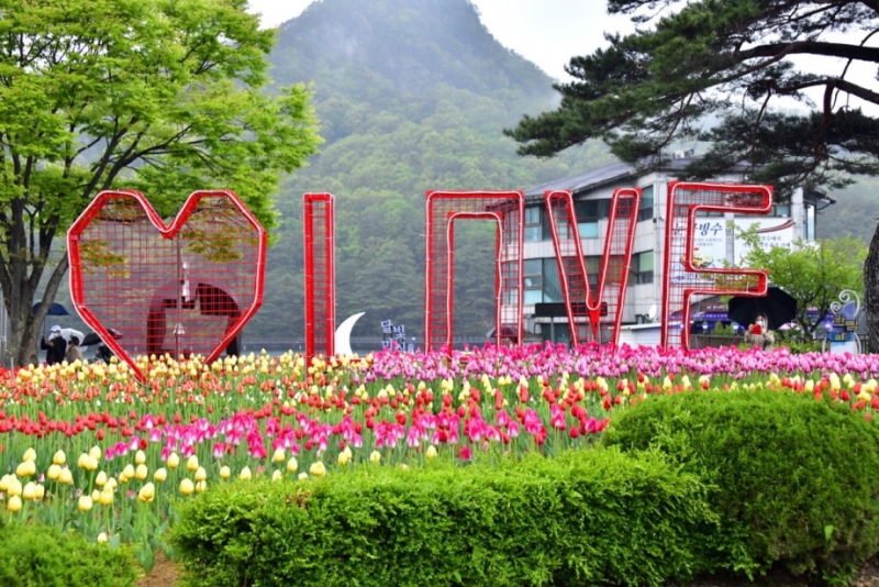들어와 드루와 ~산정호수의 봄으로!!