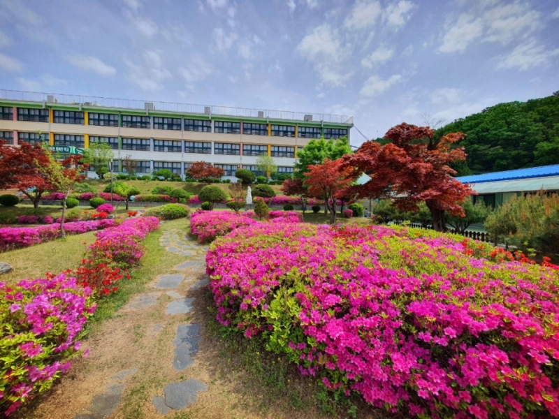 영북초에 락(樂) 내려온다!