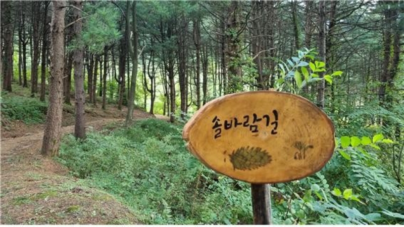 가을에는 산림치유의 숲!