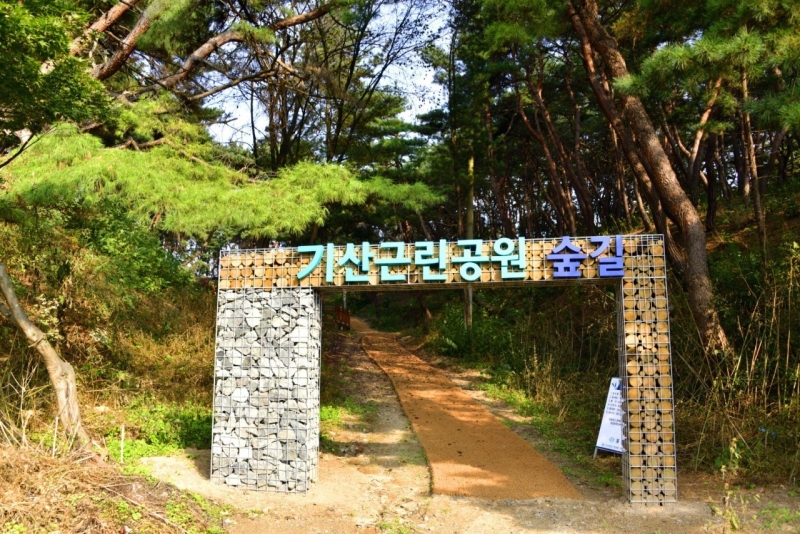 소나무 숲이 아름다운 기산근린공원 숲길