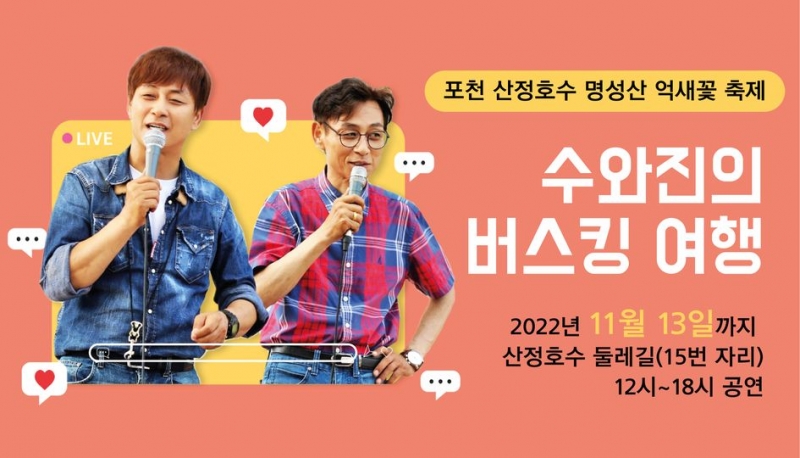 포천 산정호수 명성산 억새꽃 축제 [수와진의 버스킹 여행]