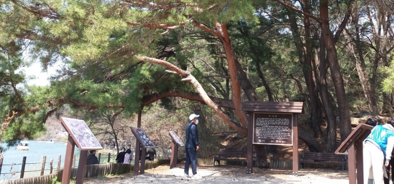 6⸱25를 보내며... 포천에서 맑은 바람 소리를 듣고 싶다!