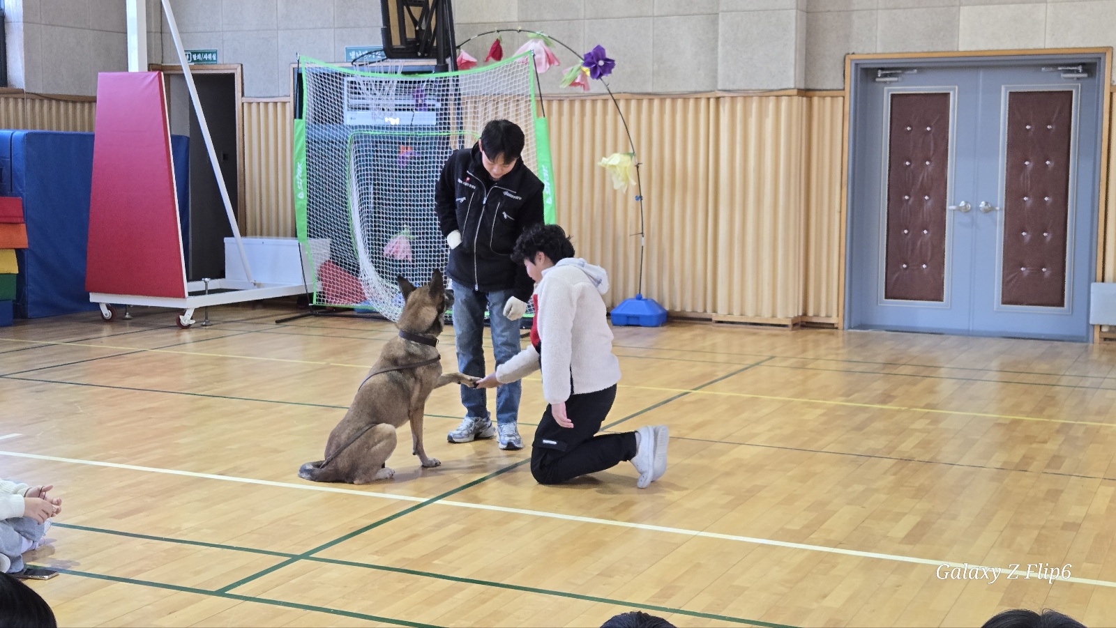 진로 직업 체험 축제를 열다.