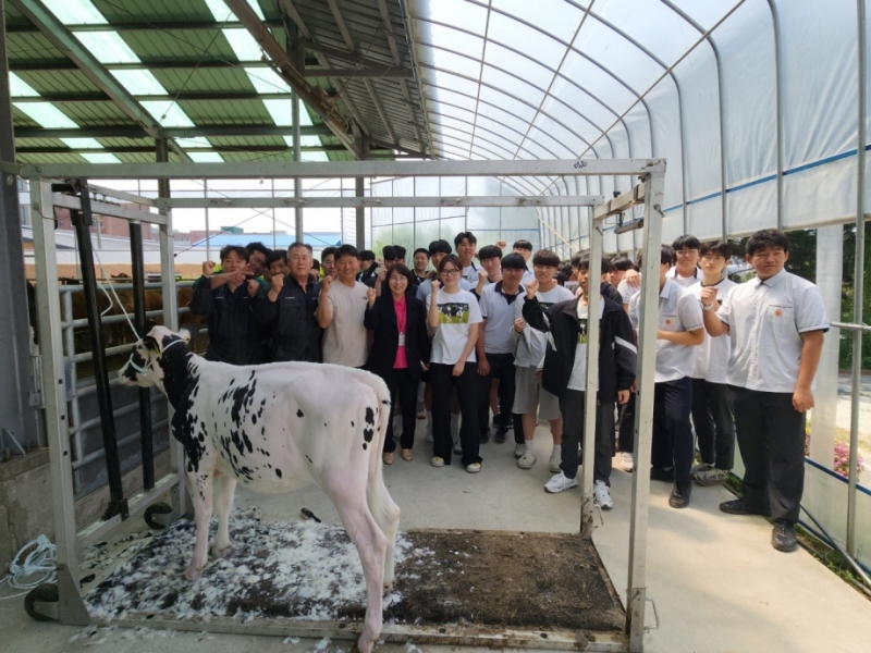 (사)한국낙농육우협회, 포천일고 학생 대상 젖소 관리 교육 실시
