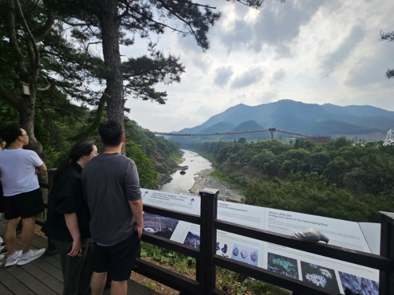 팔순노모와의 Y형 출렁다리 나들이