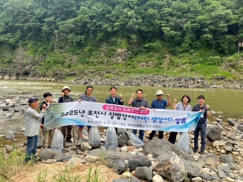 포천시, ‘실뱀장어 방류주간’ 맞아 한탄강, 영평천에 1만3천여미 방류