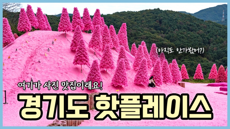 사진 맛집이라고 소문난 경기도 핫플레이스 추천!