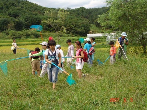 정보화 마을 소개