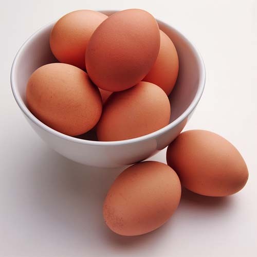 선단동 예산농장, 사랑의 달걀 무상지원