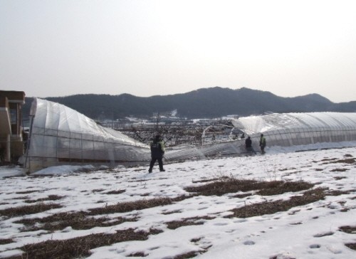붕괴 비닐하우스 철거 일손 돕기 행사 