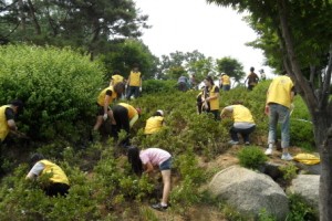 (주)신세계 이마트, 희망나눔 철쭉 식재