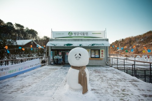 겨울과 한판 붙는 겨울 숲 즐기기, 평강식물원!
