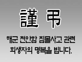 천안함 희생자 합동분양소 운영