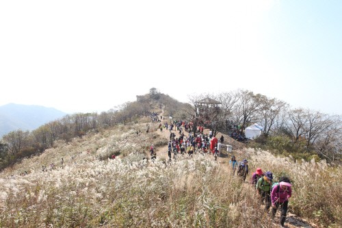 억새밭 그리고 가을호수