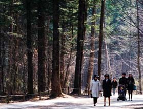 푸른 숲에 한껏 취하다-포천 국립수목원