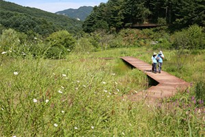 드라마 촬영지로 거듭난 ＇비밀의 화원＇ - 평강식물원