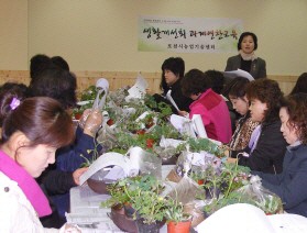 야생화로 베란다와 정원에 봄을 들여요!