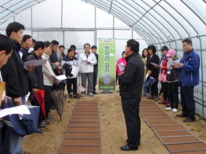 포천시, 고품질쌀 생산의 시작‘못자리 관리’중점 지도