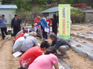 포천시, 고추 정식 농업인 현장교육 실시